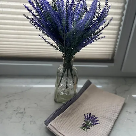 公寓 Atk T1 Airport Bus Station 塔林